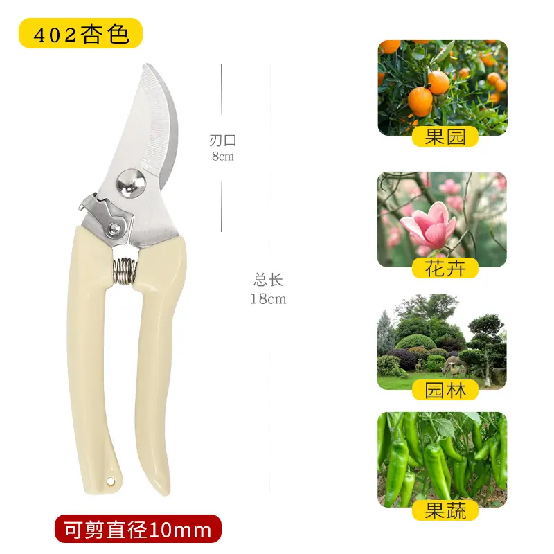 402杏色
