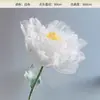 Dispositivo de Cerimônia de Abertura e Fechamento de Flores Automático por Indução Mecânica Elétrica Ornamento de Decoração de Janela de Casamento com Flores de Simulação de Luz