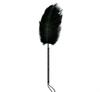 Divertida Contraseña Privada Parejas Pluma Palo Unisex Juguetes Sexuales Productos Sexuales para Adultos Juguetes Alternativos