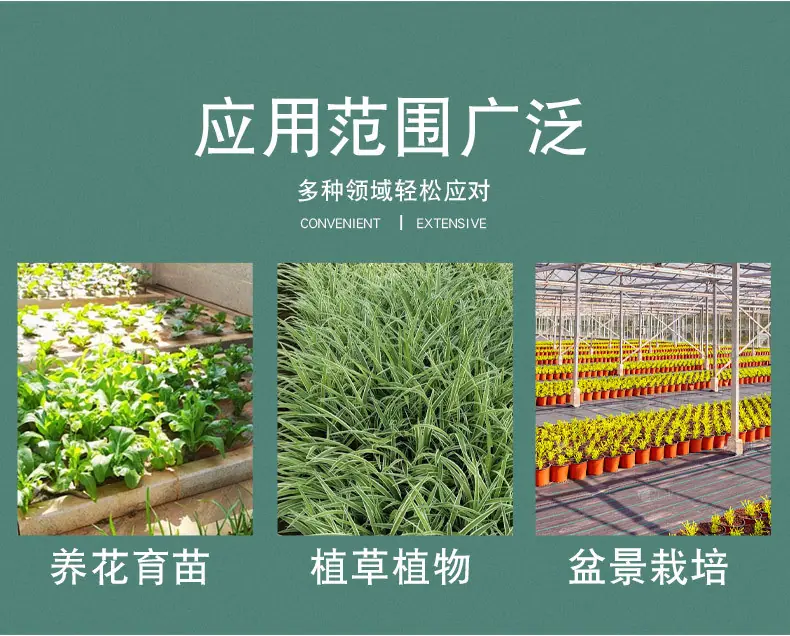 详情_03.jpg