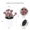 Más de 100 Tipos de Combinaciones de Plantas Suculentas Mini de Plástico Simuladas en Maceta, Mini Bonsáis Suculentos Más Vendidos Transfronterizos, Decoración para el Hogar, Adornos Creativos