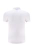 Camisa polo para publicidade de negócios com logo bordado - 40 peças 50 Algodão Fino gola listrada manga curta branca lapela