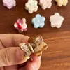 Estilo Coreano Nuevo Acetato Ladrillo Pequeño Flor Pequeña Pinza Linda Simple Pasador Pinza para Flequillo Pinza Tiburón Gama Alta