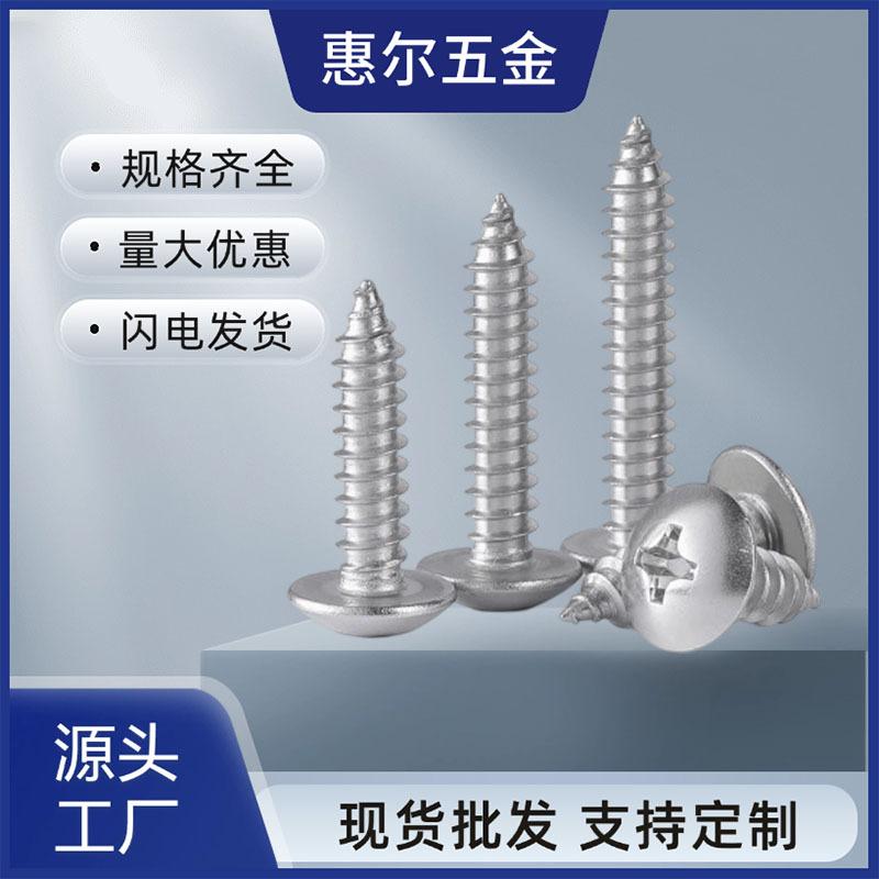 大扁自攻12