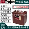Batería Trojan T-125 American Qiu Jian batería T-125 batería de potencia elevadora apiladora lavadora