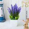 Venda quente transfronteiriça planta artificial planta artificial planta verde interior e exterior decorativo vaso de plástico eucalipto pequeno vaso