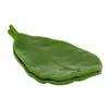 Porta jabón creativo de hoja Huari Organizador de jabón para baño Drenaje Caja de jabón para lavandería Artículo decorativo Lujo ligero Fragancia