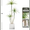 Planta Verde de Simulación Madera Milenaria Planta Falsa Lujo Ligero de Gama Alta Decoración de Interiores Árbol Sala de Estar Grande en Maceta Adornos de Piso