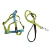 Conjunto de coleira e arreio de nylon bicolor para animais de estimação, direto da fábrica, com fivela de LED para passear com o cachorro