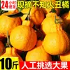 Naranja fea Fruta fea 5 kg Fruta fresca de temporada Mandarinas de piel fina Caja entera de naranjas