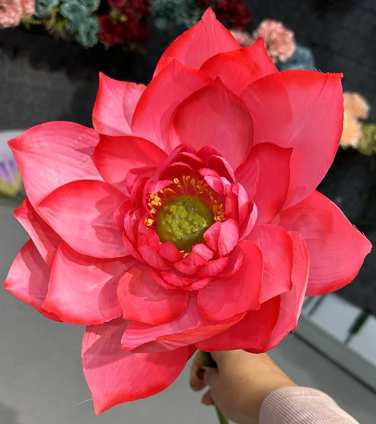 单支吉祥荷花-深粉.jpg