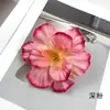 Cabeça de Flor de Plumeria Grande Simulada Kit de Material para Grampo de Cabelo de Flores Artificiais de Tecido de Seda DIY Acessórios Props Florais para Fotografia de Casa