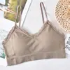 Camisola tubo top de encaje con espalda descubierta para mujer Sin aro de acero con almohadilla para el pecho Ropa interior Ropa exterior Tirantes envueltos en el pecho Fondo Chaleco para mujer