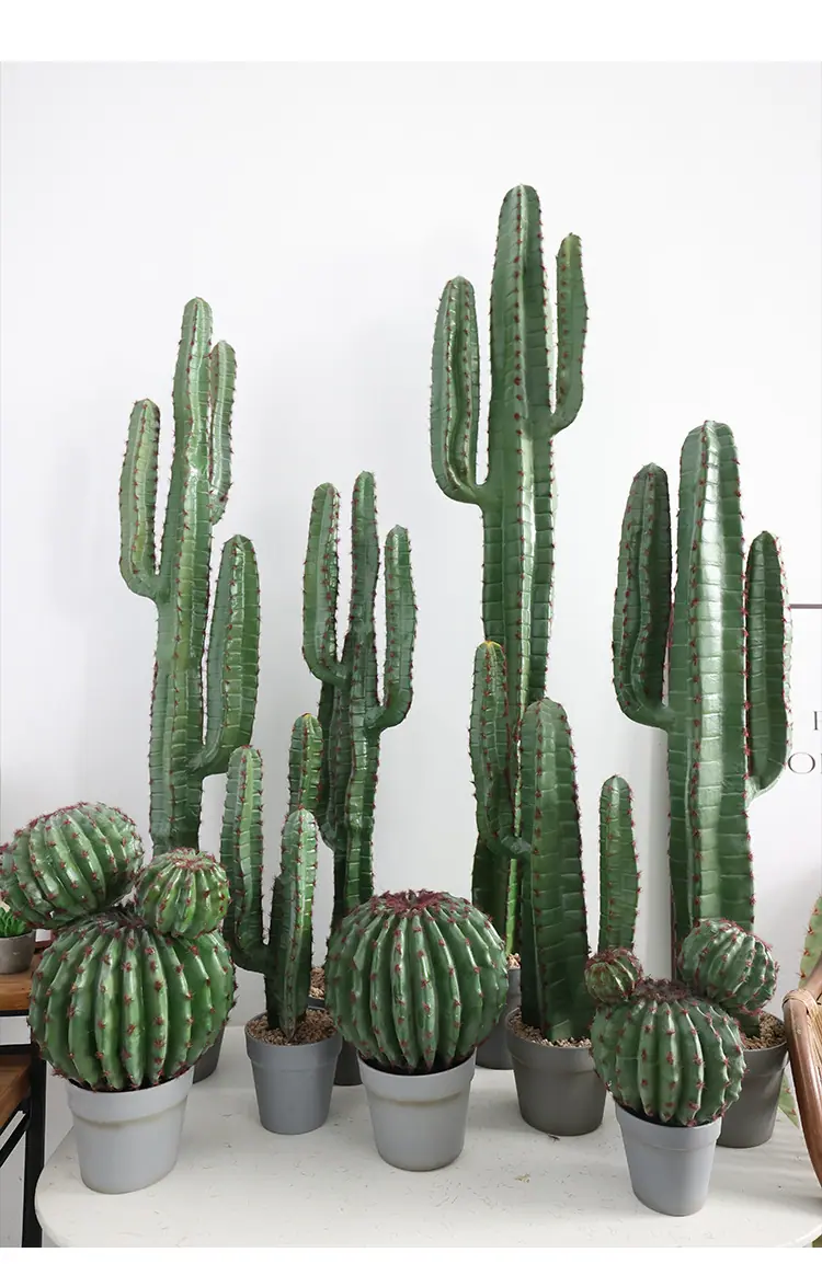 新款植绒仙人掌系列_05.jpg