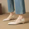 Sapatos Mary Jane de Camélia com Salto Grosso de 3,5 cm, Novos Sapatos com Tira em T 2026, Tamanhos 33-43, Moda Plus Size Transfronteiriça