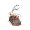 Llavero Acrílico Gato Banana Feliz Gato Feliz Transfronterizo Llavero Emoji Cabeza de Gato Comida Divertido