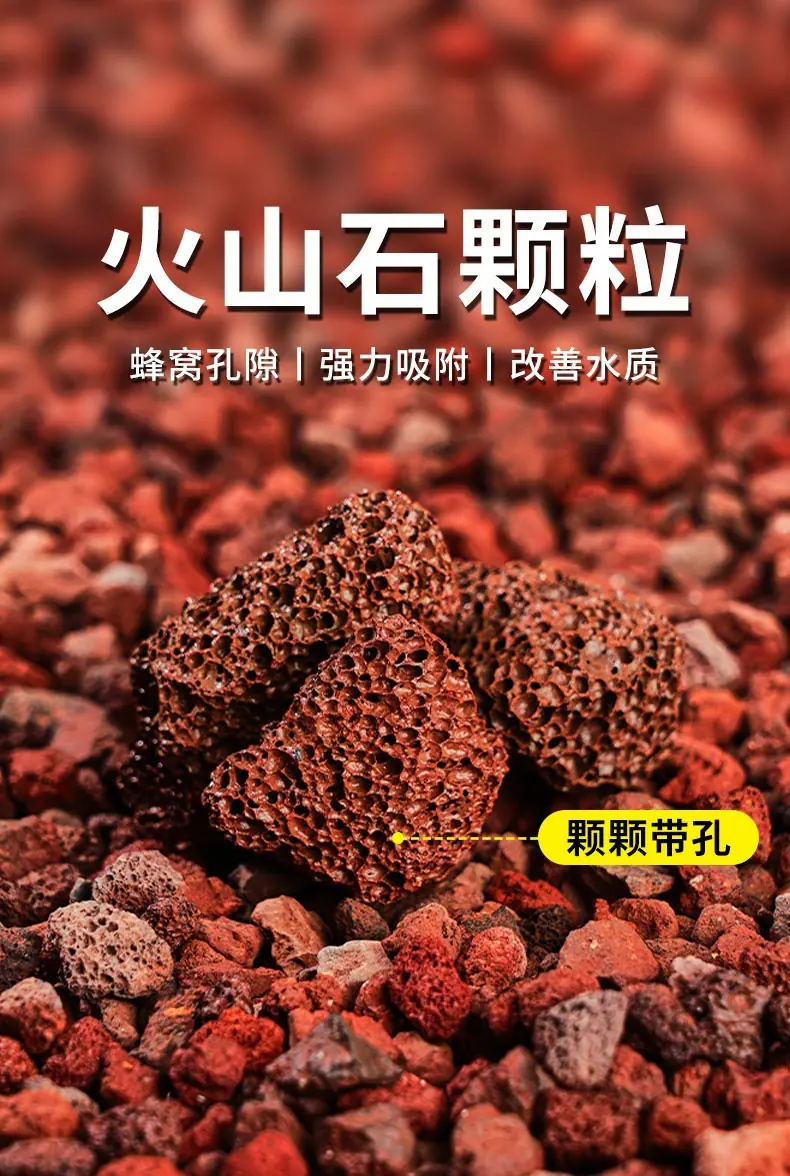 详情_002