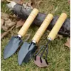 Mini Juego de Tres Piezas de Palas Pequeñas para Jardinería, Plantas en Maceta, Plantación de Flores y Herramientas de Mantenimiento, Juego de Herramientas para Plantar Suculentas, Pala de Hierro para el Hogar