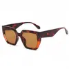 Nuevas de Moda Gafas de Sol Versátiles para Hombres y Mujeres con Montura Grande Montura Cuadrada Bicolor Personalizada Montura de PC Gafas de Venta al por Mayor Transfronteriza