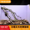 Árbol para paisajismo de acuario sudamericano, ramas secas, ramas de peral amarillo, decoración de sustrato, pecera pequeña, ramas naturales, decoración de paisajismo y paisajismo.