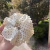 Goma de pelo scrunchie grande estilo coreano para mujer, Pañuelo cuadrado de alta gama para el pelo, Banda de goma duradera de alta elasticidad, Accesorio para el pelo estilo perezoso