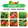 Solución Revitalizante para Plantas, Tipo Universal Solución Nutritiva para Plantas Verdes, Solución Activa Especial para Tallos Amarillentos, Crecimiento de Raíces y Promoción del Crecimiento