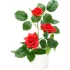 Plantas artificiais de rosa em vaso para decoração de casa, display de mesa, fabricante de rosas com bordas onduladas, pequenas plantas em vaso criativas - Amazon transfronteiriça