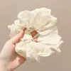 [Coleção de Liquidação de Acessórios de Cabelo Acima de 2 Yuan] Benefícios de Valor Atualizados Irregularmente, Presilhas de Cabelo Colecionáveis para Mulheres