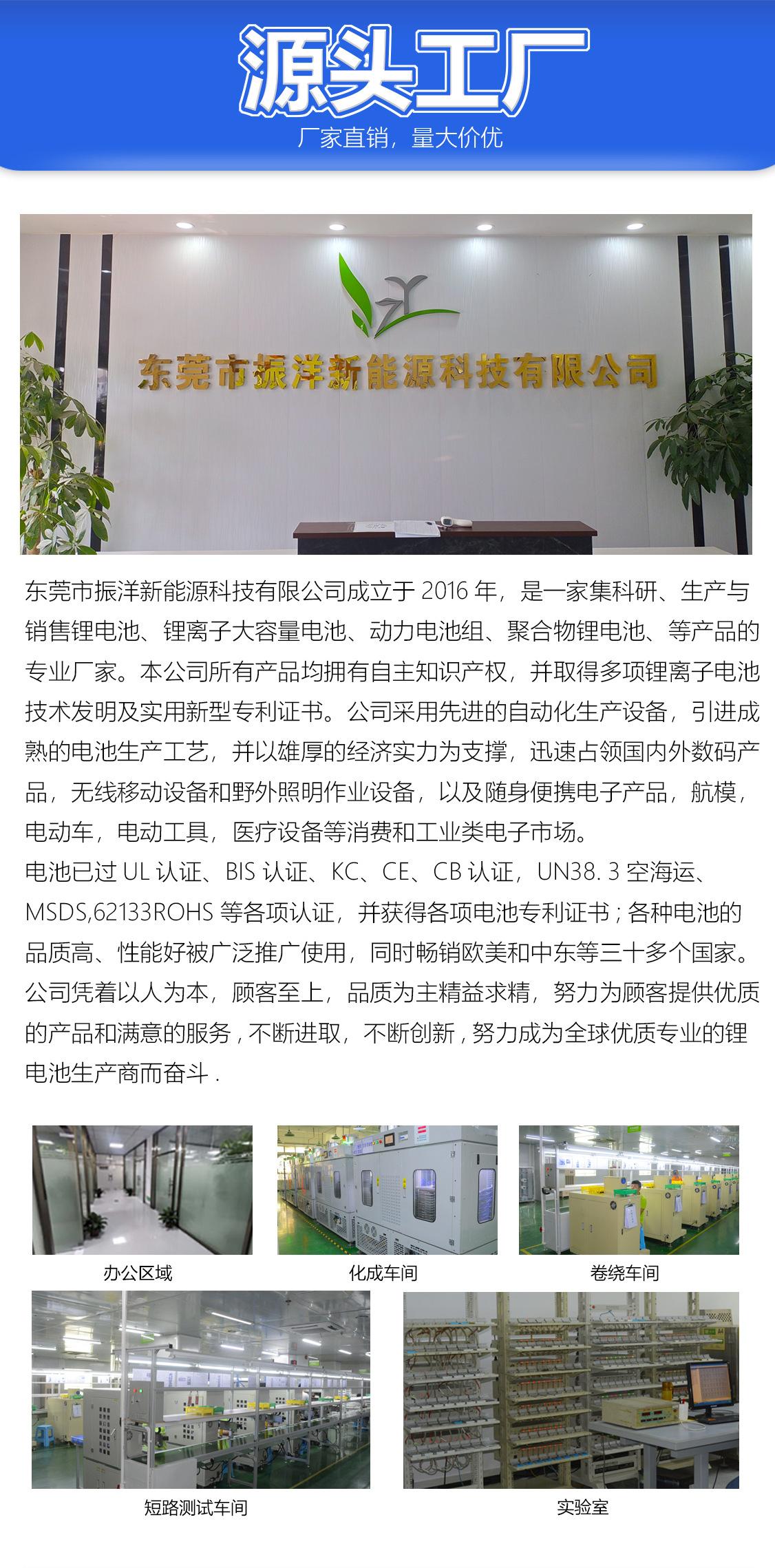 振洋新能源-普通电池详情页_05.jpg