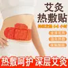 Múltiples estilos de parches térmicos autocalentables, parches térmicos de artemisa para cintura/abdomen/rodilla, calentadores de manos de vapor, cubrepiés, calentadores de pies, dropshipping