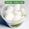 Venta directa de fábrica Jade alcanfor natural bola de alcanfor puro al por mayor armario moho antipolilla repelente de insectos a granel bola repelente de insectos bola de alcanfor