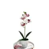 Orquídea Phalaenopsis Artificial Planta en Maceta de 4 Flores Set Adorno Decorativo para Sala de Estar Decoración de Planta en Maceta de Orquídea Phalaenopsis Planta Artificial