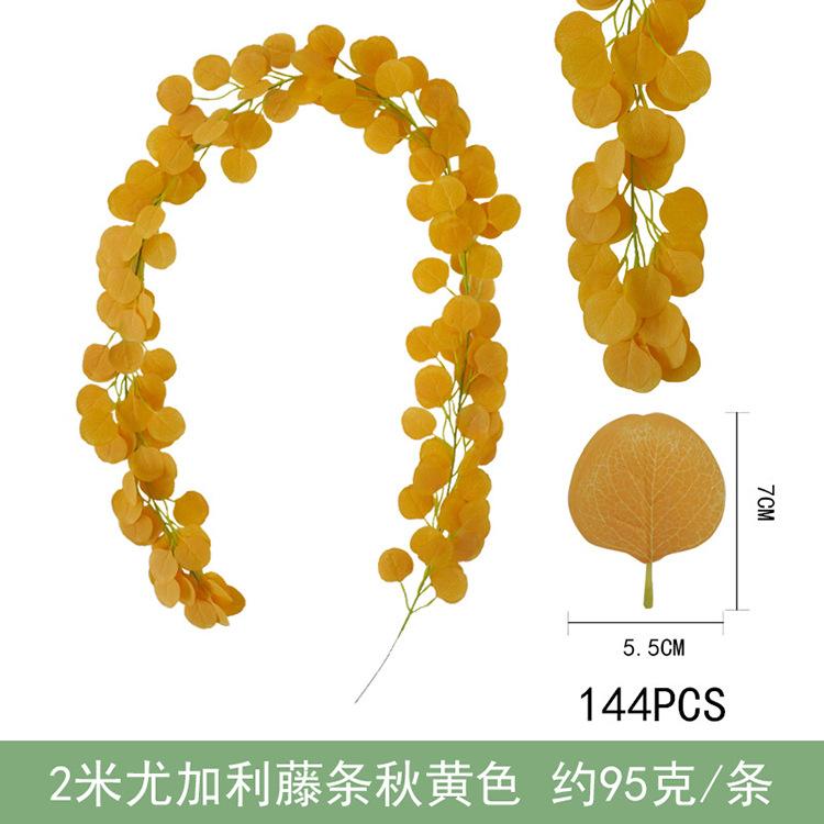 2米尤加利藤条-秋黄.jpg