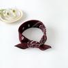 Lenços de Seda Temáticos de Rock Personalizados, Lenços de Show, Lenços Quadrados Pequenos de Algodão e Linho Inspirados em Celebridades de Hip-Hop, Lenços de Cabeça com Estampa Paisley, Feitos Sob Medida