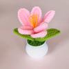 Tulipa em Crochê com Ponto Aberto em Vaso Planta de Mesa Decoração para Casa Pequeno Ornamento Presente Flor Artificial Tecida Pronta