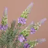 Venda Quente Comércio Exterior Artificial 5 Ramos Sálvia e Flor de Pena Artificial para Paisagismo Externo, Decoração de Casa e Casamento
