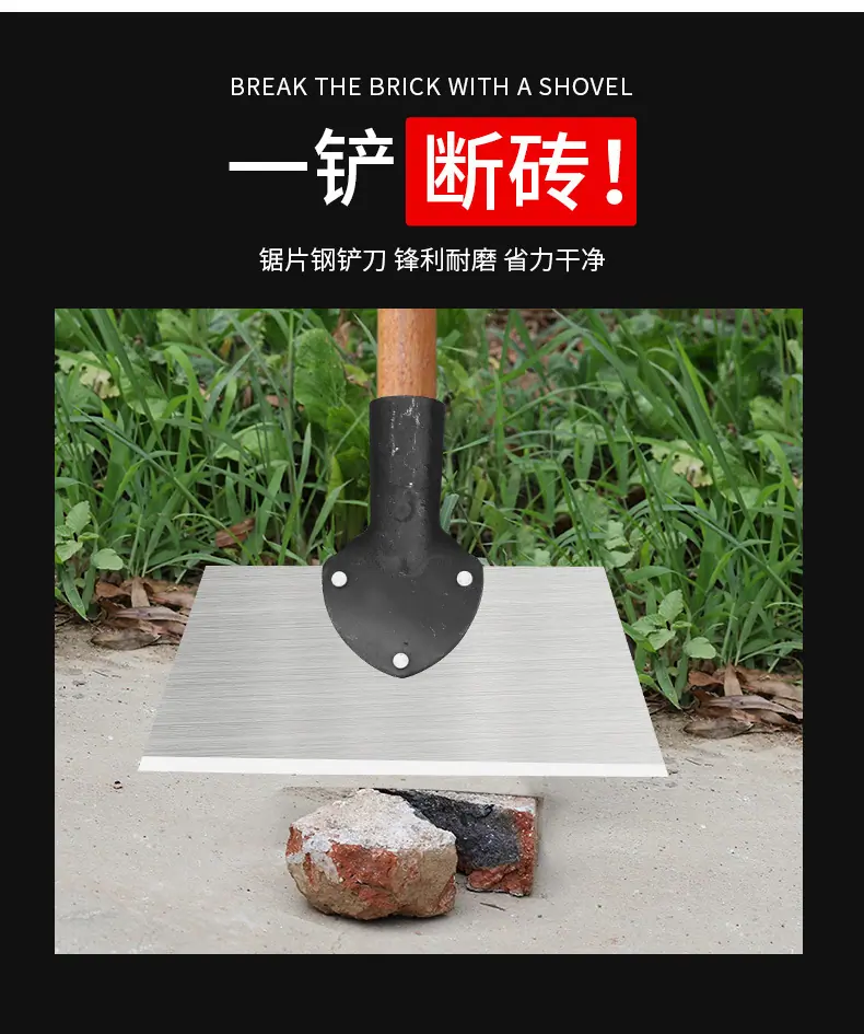 详情_03.jpg