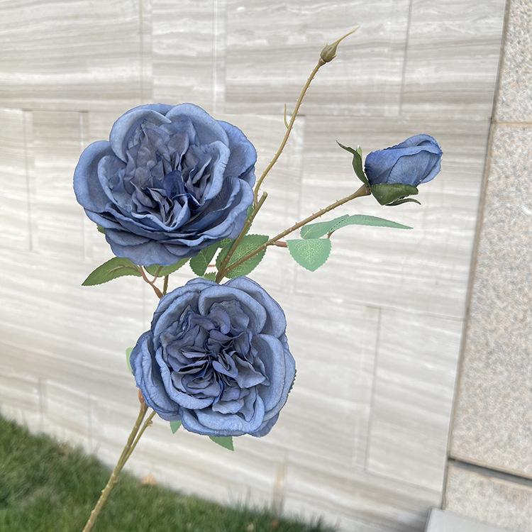 3头奥斯丁玫瑰-exxdx-雾蓝.JPG
