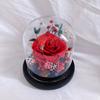 Rosa de cristal con acabado de flor eterna transfronteriza de Amazon, regalo de cumpleaños, regalo de San Valentín, regalo para novia.