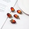 Roble de Todos los Santos pequeños accesorios de roble para bricolaje accesorios de fotografía de frutas navideñas decoración de avellana simulada fruta natural Halloween Navidad