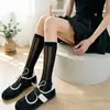 Calcetines finos de estilo coreano para mujer, con borde enrollado, apilables, de longitud media hasta la pantorrilla, color liso, estilo Hong Kong ins, blanco urbano con rayas verticales laterales y ribete de encaje