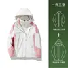 Chamarra HJCAMEL para Exteriores para Mujer Tres en Uno Chaqueta Pequeña Cortavientos e Impermeable Traje de Montañismo para Otoño e Invierno