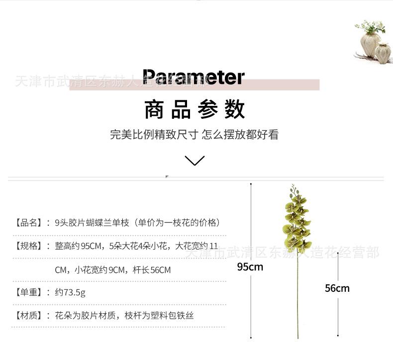 详情_02.png