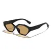 Gafas de Sol Poligonales Estilo Retro Europeo y Americano, Montura Pequeña, Ojo de Gato, para Mujeres con Rostros Redondos, Gafas de Sol de Pasarela de Alta Gama con Forma de Mariposa