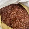Semillas Auténticas de Azufaifo Ácido, Semillas de Azufaifo Ácido de Yunnan, Semillas de Azufaifo Ácido de Hebei al por Mayor