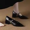 Zapatos Mary Jane Nuevos de Punto Fino Retro Primavera/Otoño 2026 para Mujer, Tacón Grueso, Boca Baja, Hebilla Metálica, Piel Suave, Zapatos Planos para el Trabajo