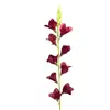 Flor individual de gladiolo artificial de 9 cabezas para arreglos de boda, arreglos florales, decoración del hogar, adornos de flores artificiales transfronterizos al por mayor