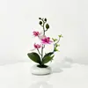 Três Flores Duas Folhas Uma Folha Orquídea Phalaenopsis Planta em Vaso Simulação Mesa de Jantar Hotel Sensação Flor Artificial Bonsai de Pedras Ornamentação de Planta Verde