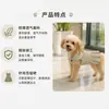 Novo Conjunto de Coleira com Saia Plissada para Passeios ao Ar Livre, Fashion, Fofo, Macio, Confortável, Roupa Ajustável para Pet