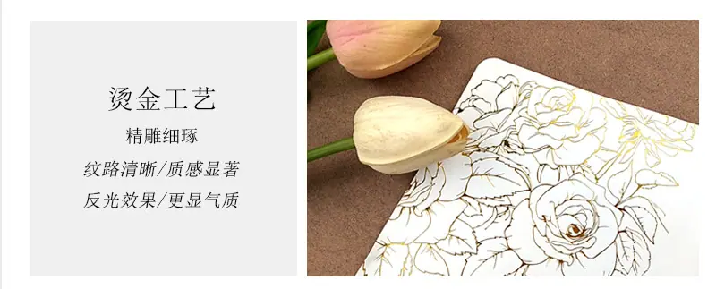 衬底信封详情_22.jpg